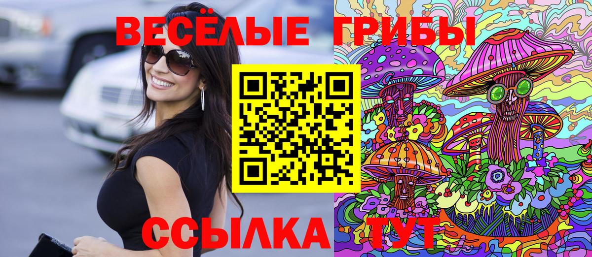 Нальчик  Псилоцибиновые грибы Psilocybe  Вход с VPN 